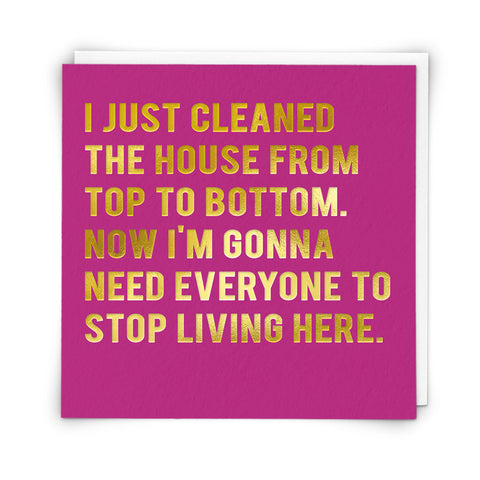 I Just Cleaned