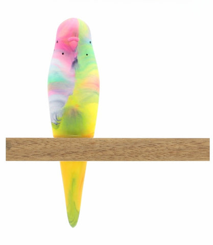 Budgerigar - Rainbow