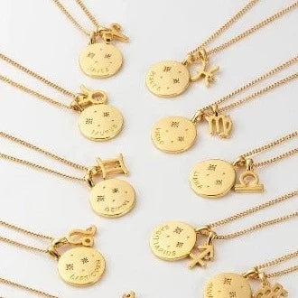 Zodiac Necklace - Capricorn