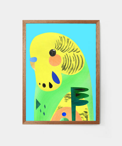 BUDGERIGAR FINE ART PRINT
