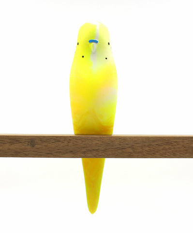 Budgerigar - Yellow