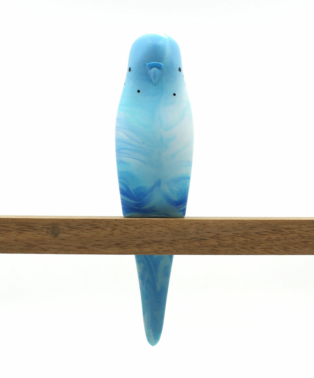 Budgerigar - Blue