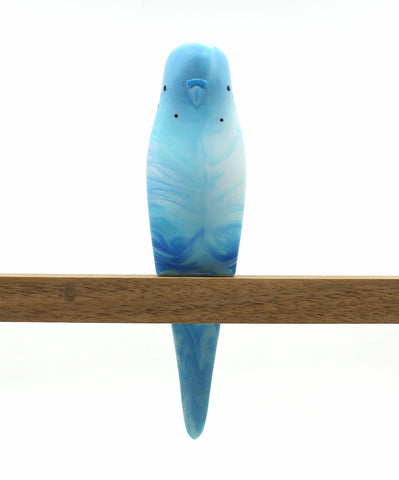 Budgerigar - Blue