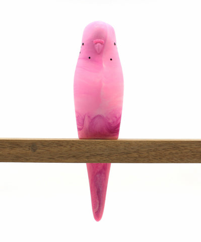 Budgerigar - Pink
