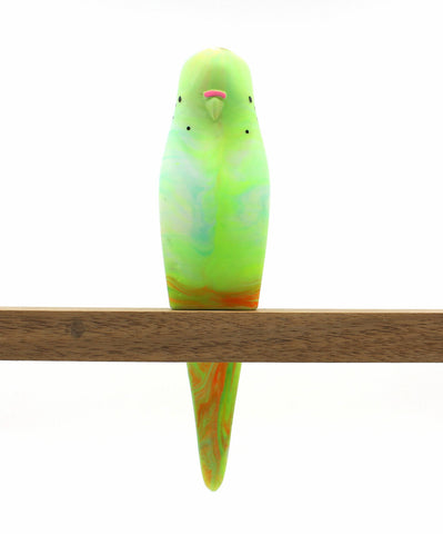 Budgerigar - Green