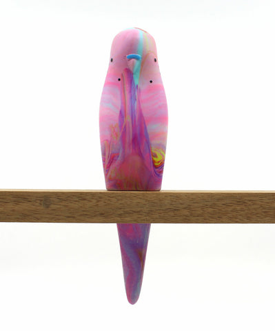 Budgerigar - Purple