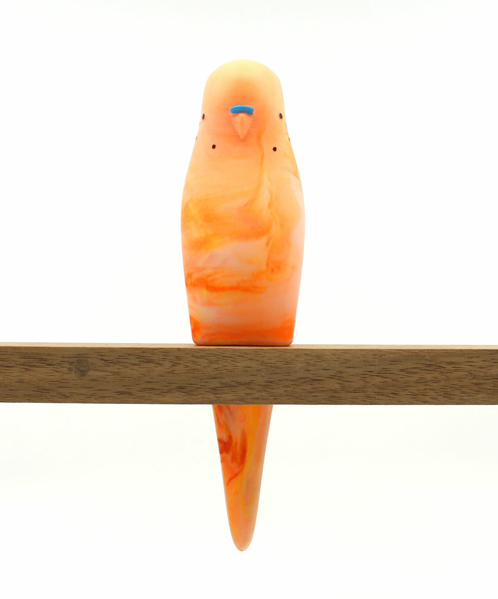 Budgerigar - Orange
