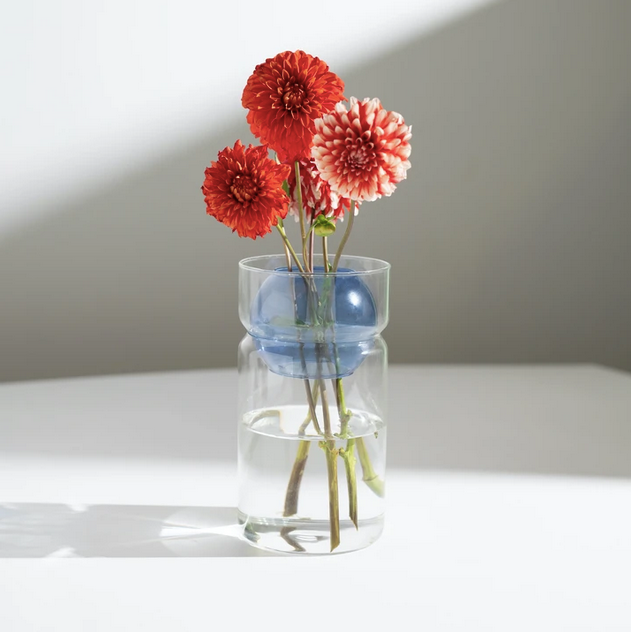 Fazeek Balance Vase - Clear + Blue