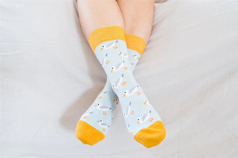 Joode - Seagull Bird