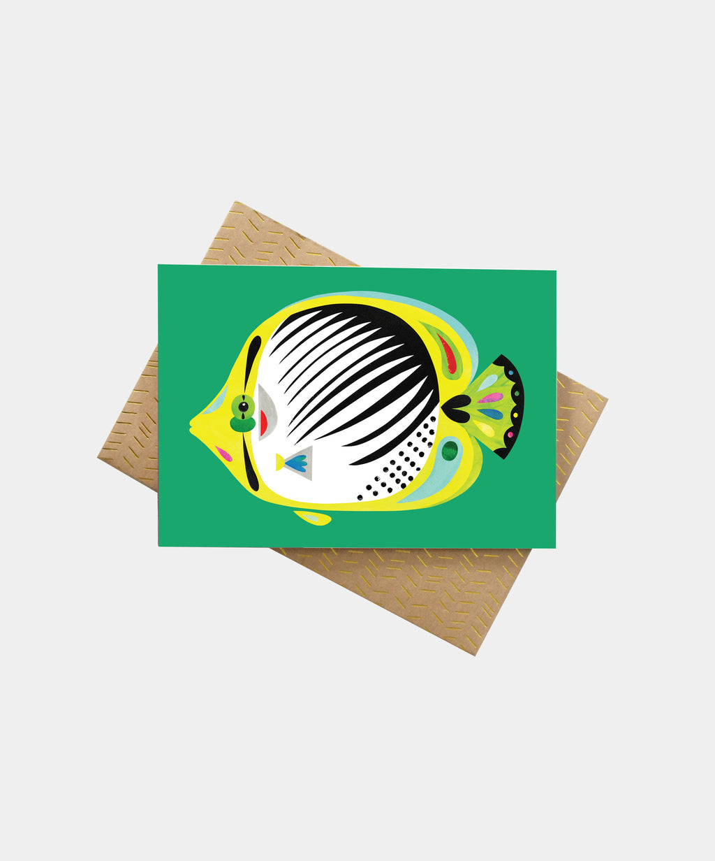 Butterflyfish