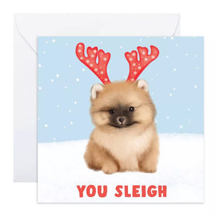 YOU SLEIGH