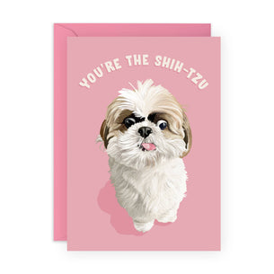 YOU’RE THE SHIH-TZU