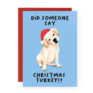 DID SOMEONE SAY CHRISTMAS TURKEY