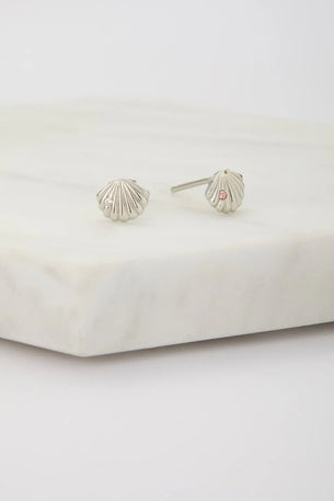 Sea Shell Stud Earring - 925 Sterling Silver