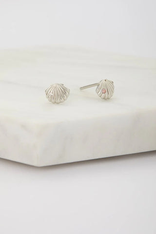 Sea Shell Stud Earring - 925 Sterling Silver