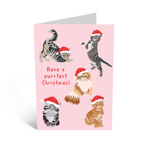 HAVE A PURRFECT CHRISTMAS