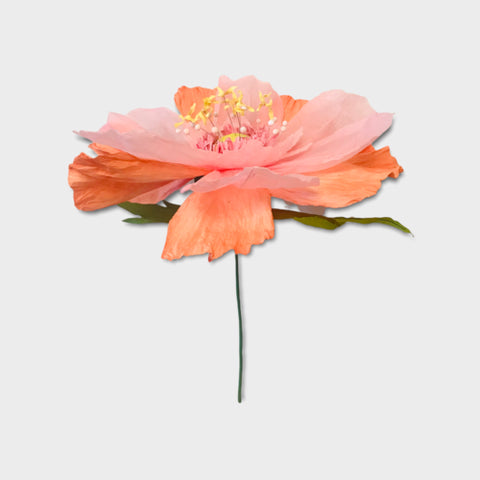 Dancing Paper Flower - Apricot