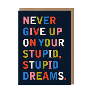 Never Give Up Stupid Dreams