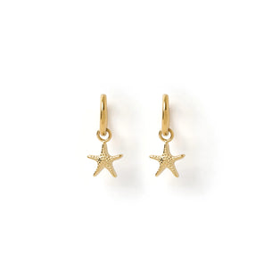 Sea Star Gold Earrings