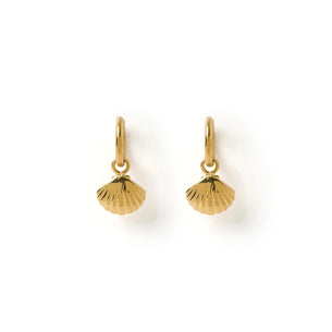 Shell Gold Charm Earrings