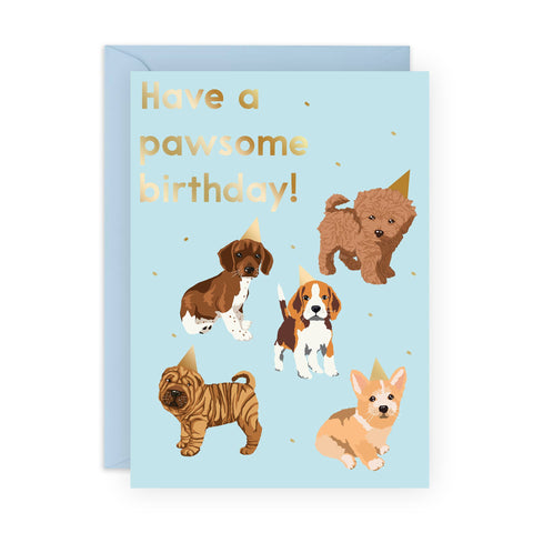 HAVE A PAWSOME BIRTHDAY